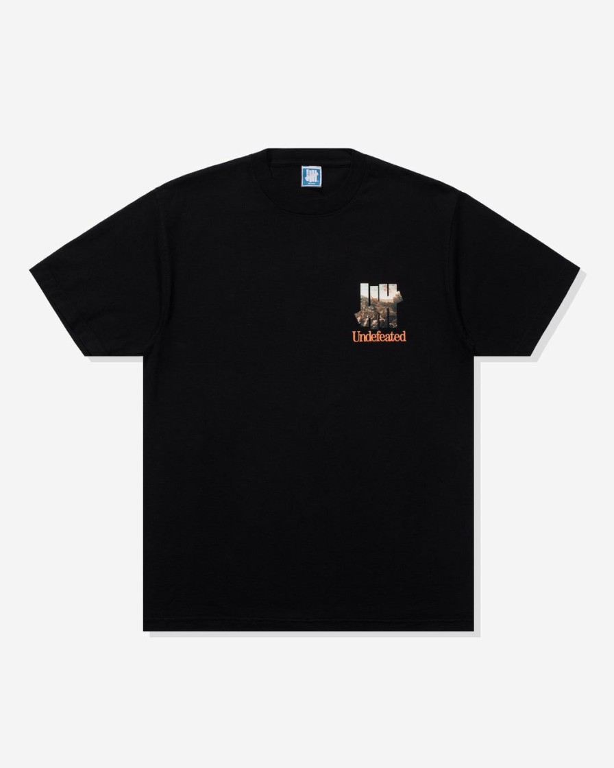 Clothing * | Undefeated Dinger S/S Tee